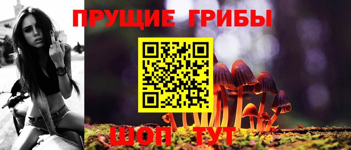 Псилоцибиновые грибы Magic Shrooms  Вход с VPN  Псилоцибиновые грибы Magic Shrooms  Красноармейск 