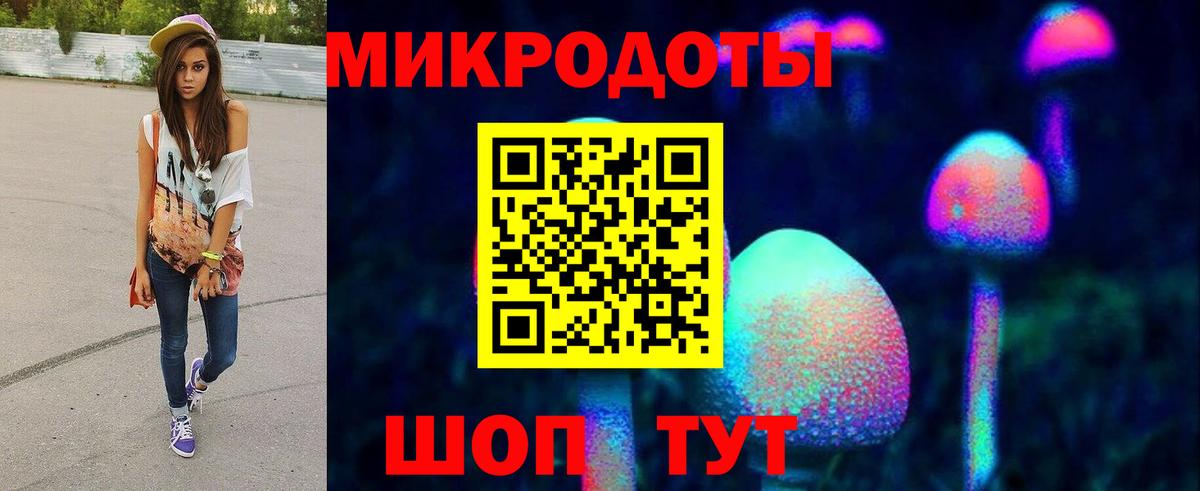 Псилоцибиновые грибы GOLDEN TEACHER Красноармейск