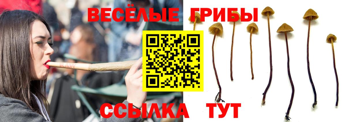 Псилоцибиновые грибы Красноармейск